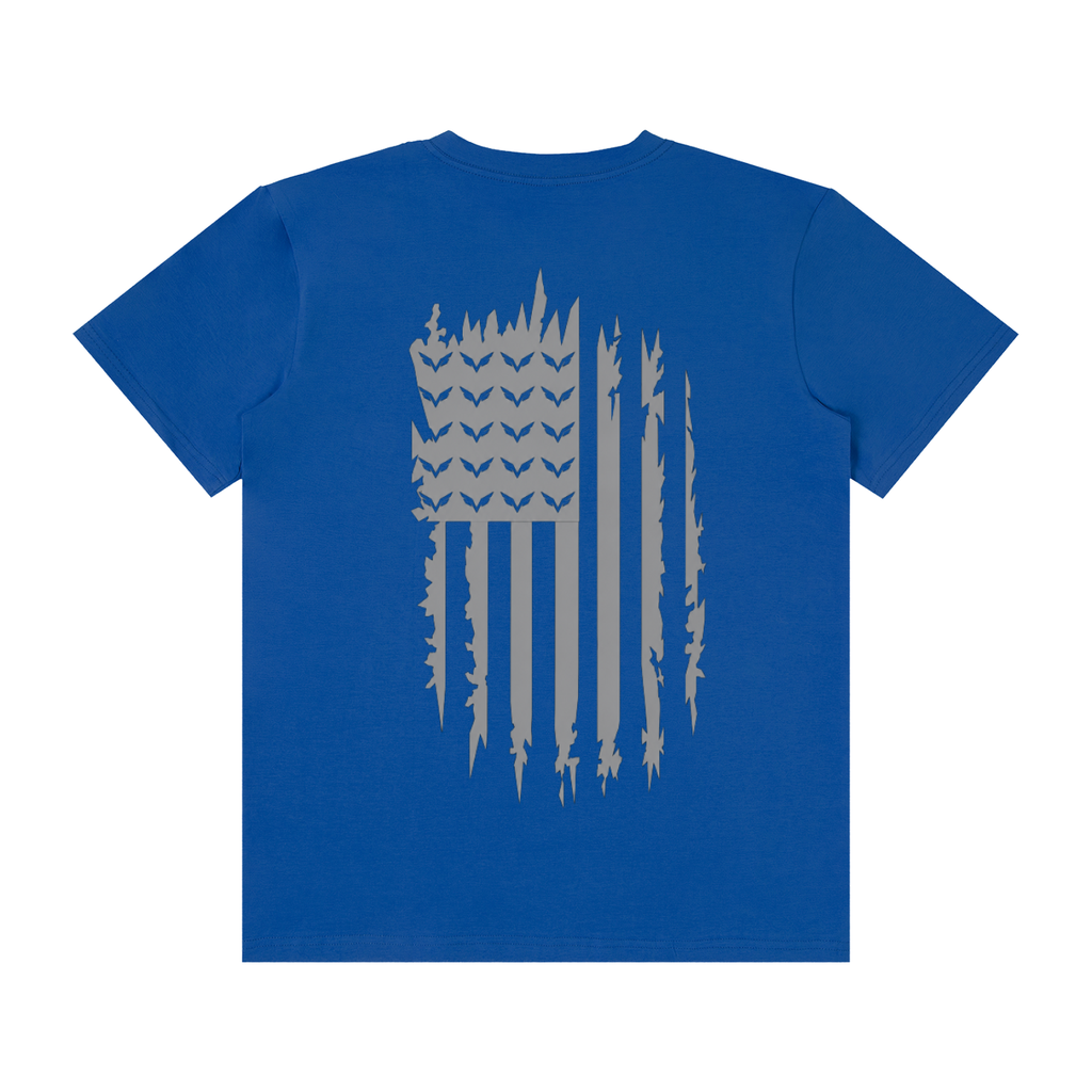 Vision Classic flag crew tee
