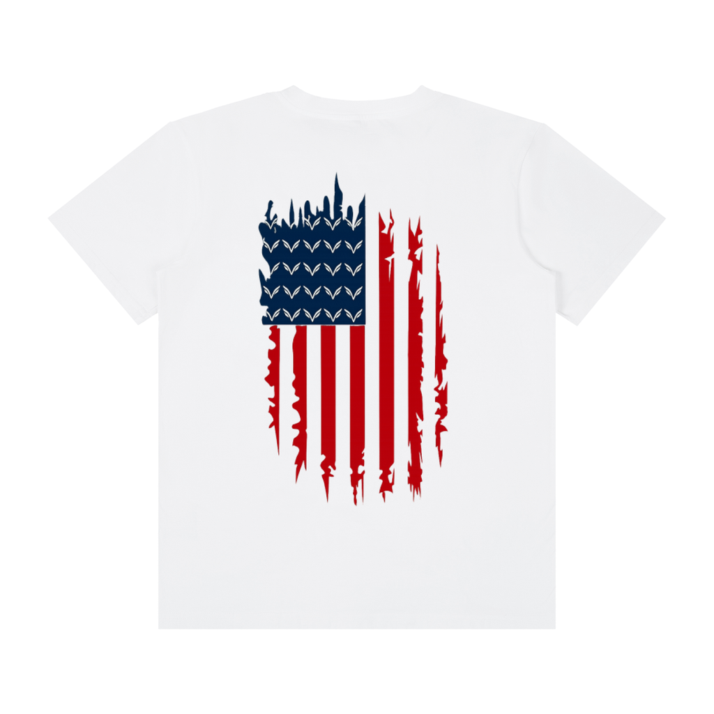 Unisex Vision graphic flag t-shirt