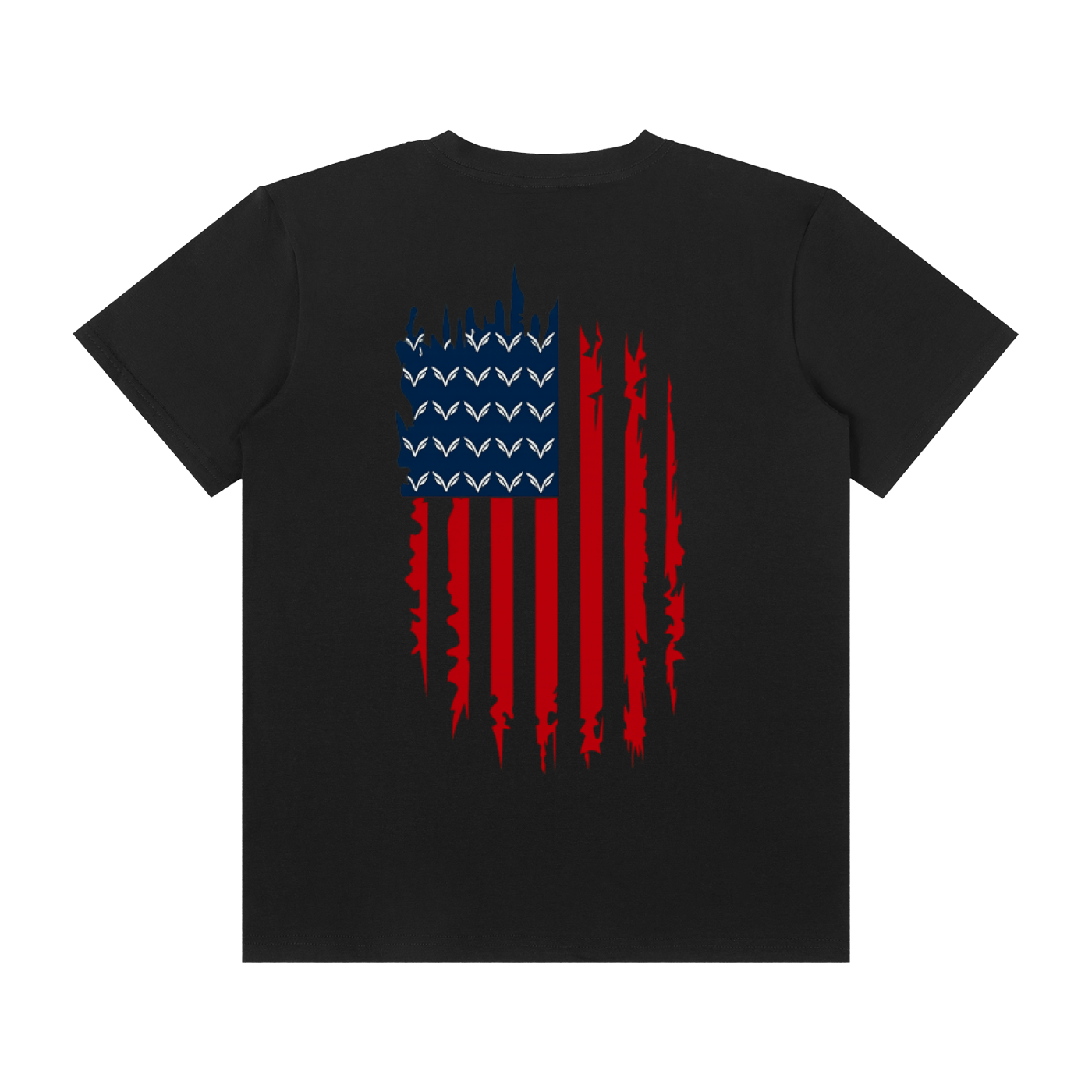 Unisex Vision graphic flag t-shirt