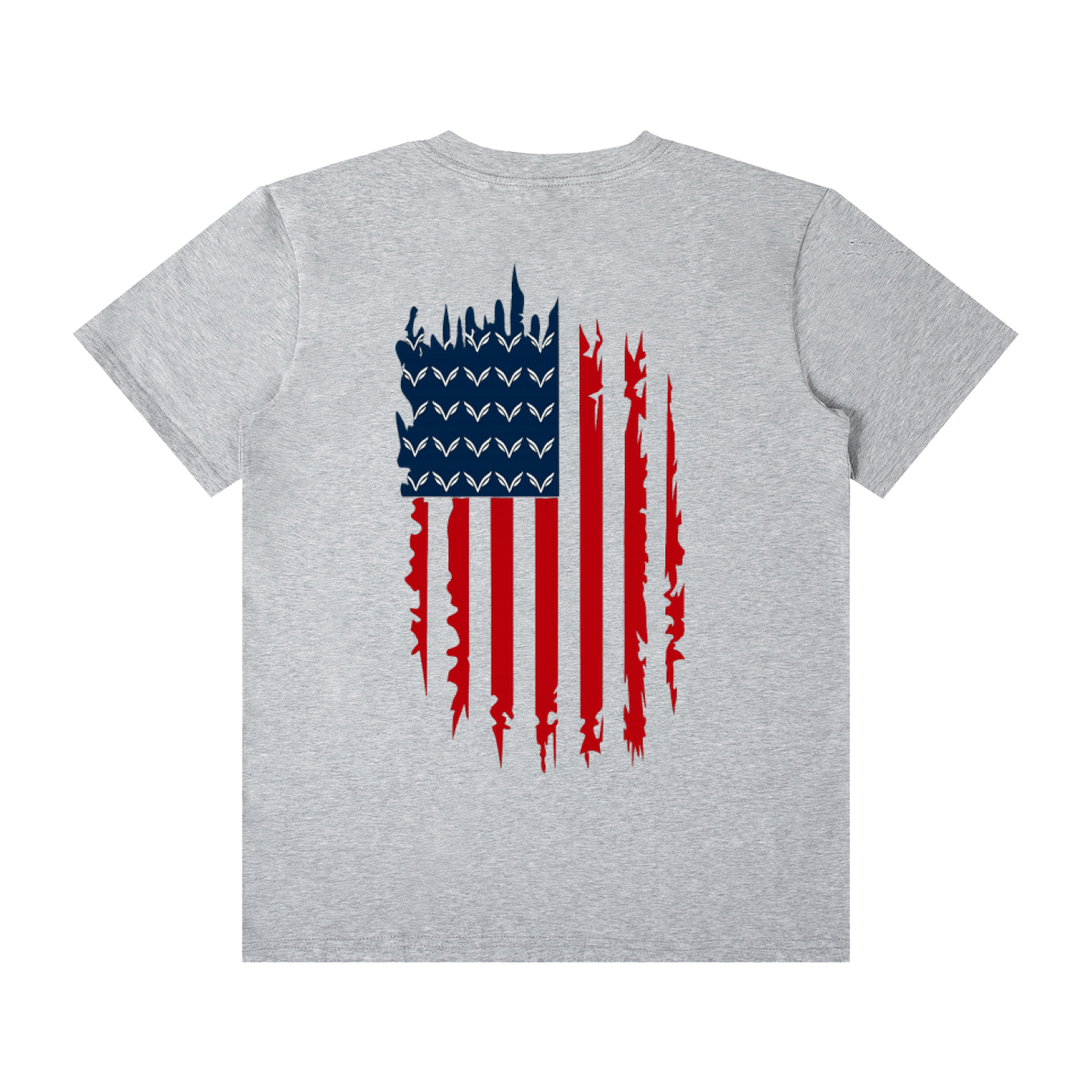 Unisex Vision graphic flag t-shirt