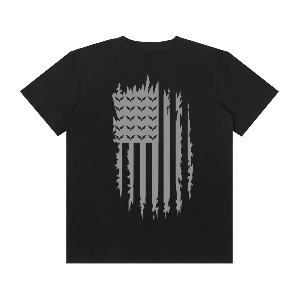Vision Classic flag crew tee