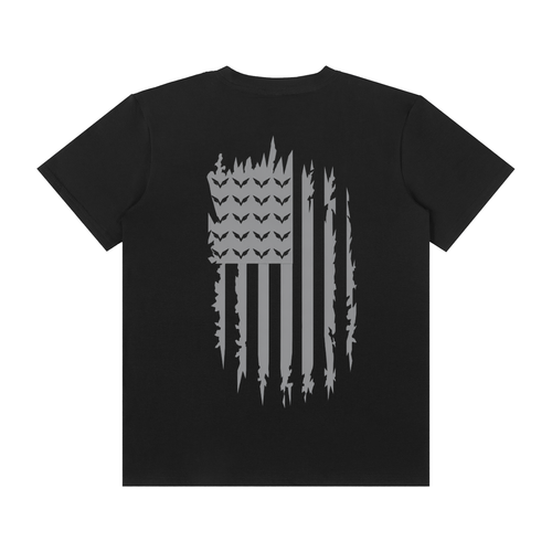 Vision Classic flag crew tee