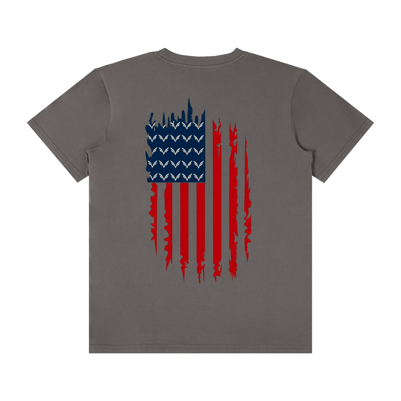 Unisex Vision graphic flag t-shirt